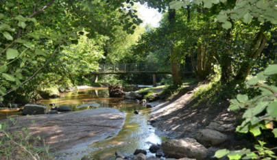 Découverte de l'Yzeron