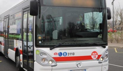 bus